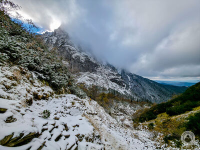 Żółty szlak pod Kondracką Przełęczą