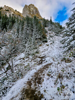Żółty szlak pod Kondracką Przełęczą