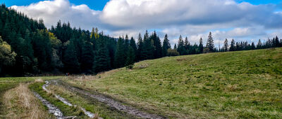 Wielka Polana w Dolinie Małej Łąki ↔ Kondracka Przełęcz [Wielka Polana Małołącka]