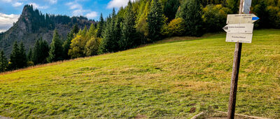Przysłop Miętusi [Przysłop Miętusi - rozejście szlaków]