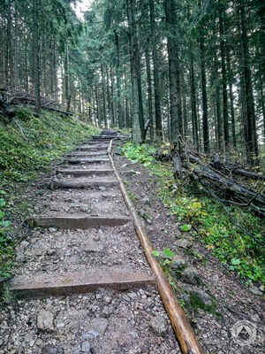 Czerwony szlak do Nędzówki