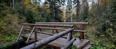 Staników Żleb ↔ Przysłop Miętusi [Czerwony szlak do Nędzówki w Stanikowym Żlebie]