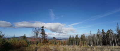 Borówkowa ↔ Przełęcz Różaniec