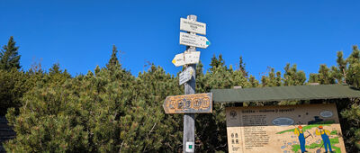 Nad Růžovohorským sedlem