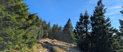 Nad Růžovohorským sedlem ↔ Jelenka