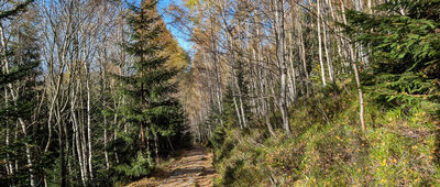 Sowia Dolina, granica parku narodowego ↔ Sowia Przełęcz