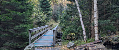 Sowia Dolina ↔ Sowia Dolina, granica parku narodowego
