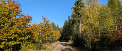 Droga Urszuli ↔ Karpacz, Szeroki Most