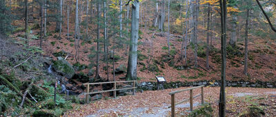 Droga Urszuli, granica parku narodowego ↔ Droga Urszuli