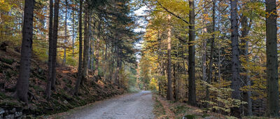 Droga Urszuli, granica parku narodowego ↔ Droga Urszuli