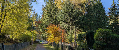 Karpacz, ul. Gimnazjalna ↔ Karpacz, ul. Leśna