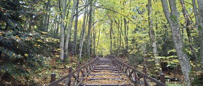 Święty Krzyż, pogański wał kulturowy ↔ Droga Królewska, rozejście szlaków