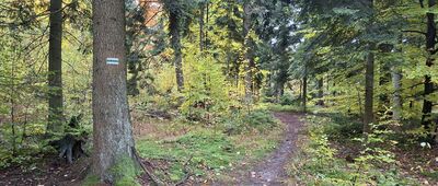 Wał Małacentowski ↔ Kobyla Góra