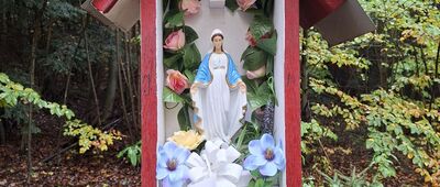 Jeleniowska Droga ↔ Szczytniak