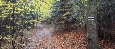 Stary Skoszyn, plebania ↔ Szczytniak