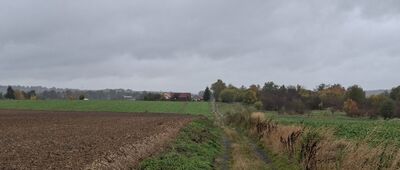 Wałsnów ↔ Stary Skoszyn, plebania