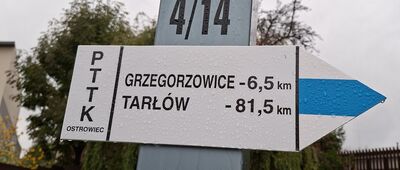 Nowa Słupia, rozejście szlaków ↔ Nowa Słupia