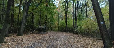 Park Śląski, leśniczówka ↔ Katowice, ul. Mickiewicza