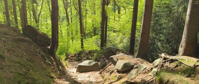 Zaječí rokle, rozc.