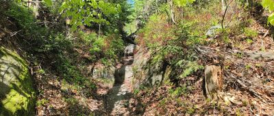 Dobytčí stezka, rozc. ↔ Vyhlídka do Zaječí rokle, odb.