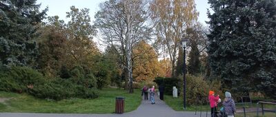 Park Śląski, ul. Wycieczkowa
