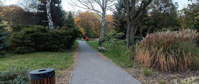 Park Śląski, ul. Wycieczkowa ↔ Ogród Bylinowy