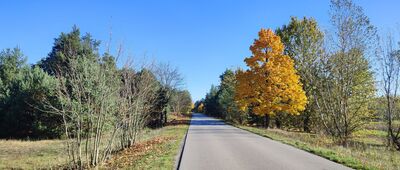Rozejście szlaków ↔ Rozejście szlaków