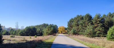 Rozejście szlaków ↔ Chotcza Dolna