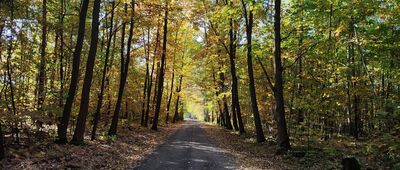 Miodne ↔ Pionki, ul. Zwycięstwa