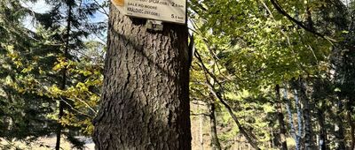 Železná stezka CZ / PL