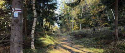 Železná stezka CZ / PL