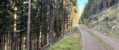 Krzyżówka BHP ↔ Železná stezka CZ / PL