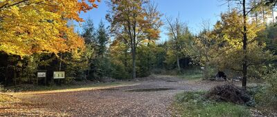 Rozdroże Trzech Buków