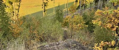 Rozdroże Trzech Buków ↔ Pod Kruczą Skałą