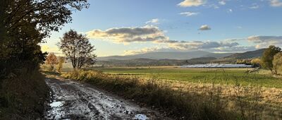 Pod Kruczą Skałą ↔ Rozdroże Trzech Buków