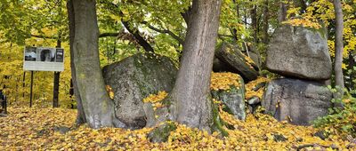 Przesieka [Waloński Kamień]