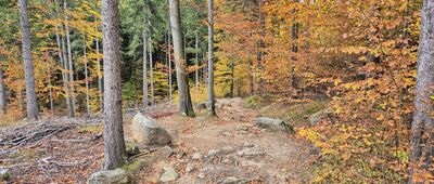 Żelazny Mostek ↔ Rozdroże pod Rudziankami [Zielony szlak schodzący na Żelazny Mostek]
