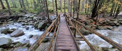 Rozejście szlaków ↔ Czeska Ścieżka, granica parku narodowego [Mostek nad Szrenickim Potokiem]