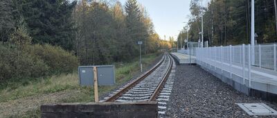 Boguszów-Gorce, Dzikowiec, stacja kolejowa