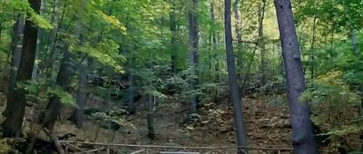 Płaski Kamień ↔ Rozejście szlaków