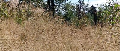 Szeroka ↔ Przełęcz pod Szeroką