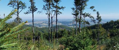 Przełęcz pod Szeroką ↔ Pod Malinową, początek szlaku zielonego