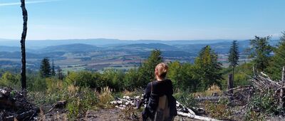 Pod Malinową, początek szlaku zielonego ↔ Przełęcz pod Gołębią