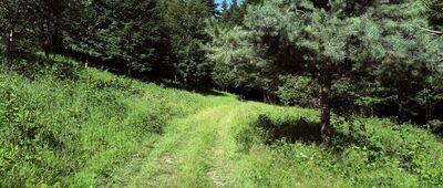 Klasztor Karmelitów Bosych w Zawoi ↔ Zawoja, Marszałki