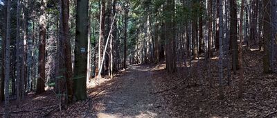 Klasztor Karmelitów Bosych w Zawoi ↔ Zawoja, Marszałki