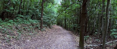 Przegorzalska Przełęcz ↔ Kraków, Uroczysko Sikornik