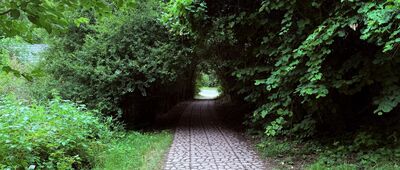 Przegorzalska Przełęcz ↔ Kraków, Uroczysko Sikornik