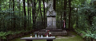 Las Wolski, Polana Lea ↔ Rozejście szlaków