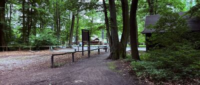 Las Wolski, aleja Żubrowa