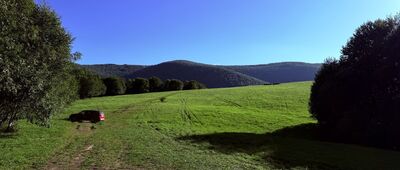 Bacówka PTTK Pod Małą Rawką ↔ Przełęcz Wyżniańska